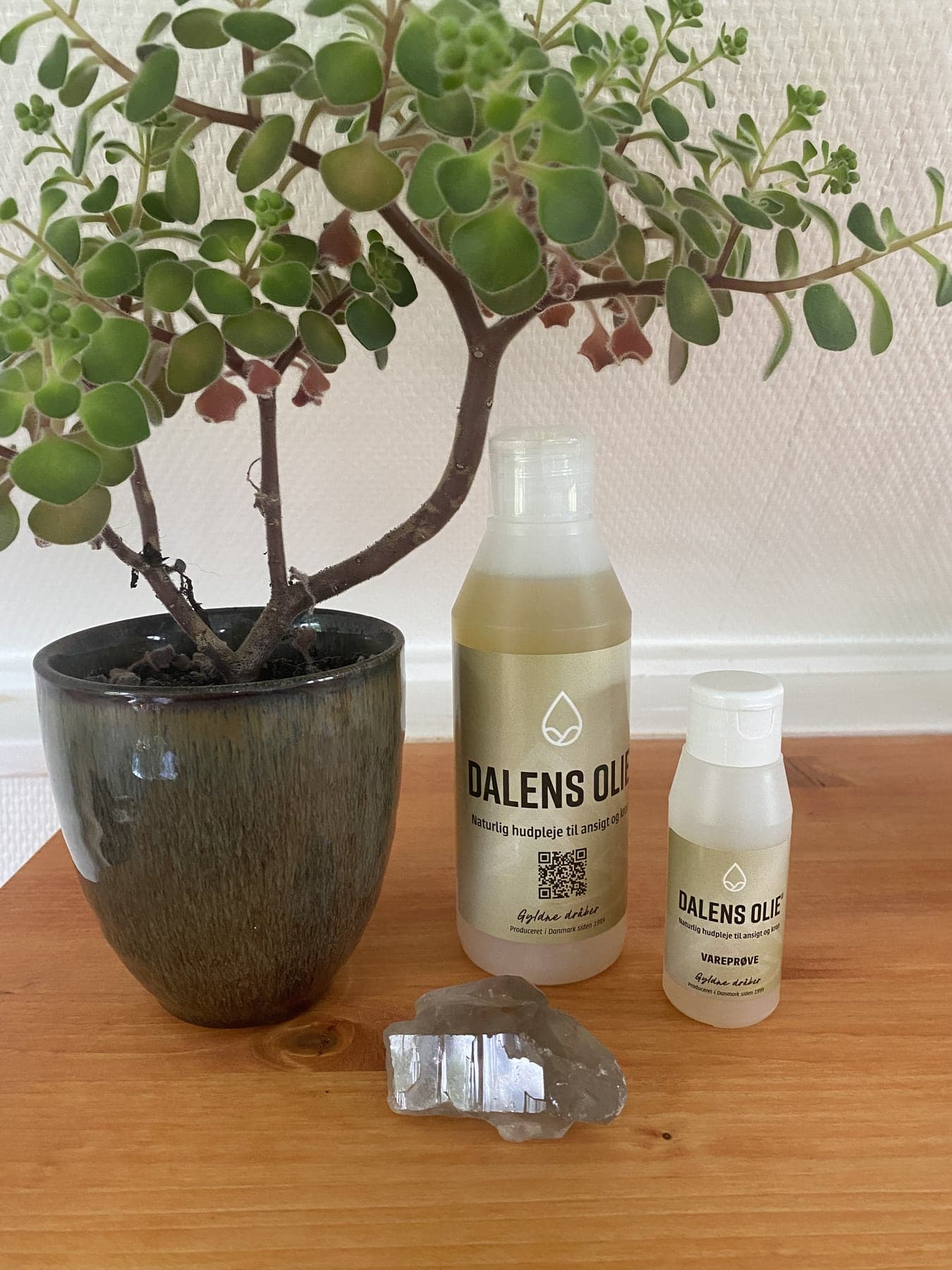Dalen’s olie opstillet sammen med en grøn plante